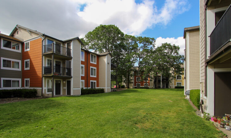 A grassy lawn surrounded by three story buildings and trees.